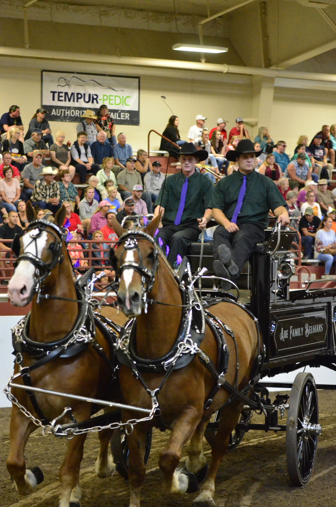 8-25-19 Draft Horse Hitch Final (56).JPG